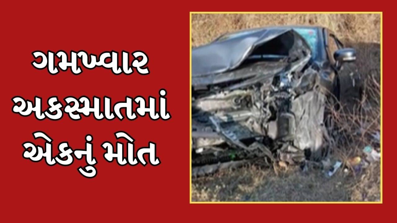 જૂનાગઢ વીડિયો : વિસાવદર નજીક બે કાર વચ્ચે સર્જાયો અકસ્માત, એકનું મોત