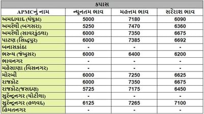 કપાસના તા.11-01-2024ના રોજ APMCના ભાવ રૂ.5000 થી 7470 રહ્યા.