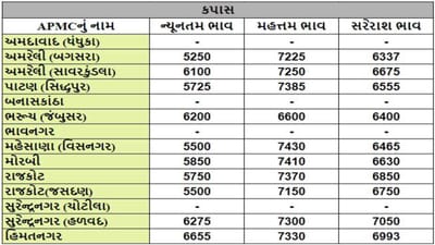 કપાસના તા.16-01-2024ના રોજ APMCના ભાવ રૂ.5250 થી 7430 રહ્યા.