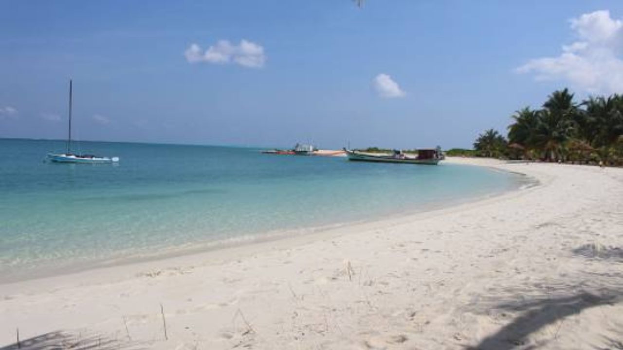 સોશિયલ મીડિયા પર પણ બોયકોટ માલદીવ્સ ટ્રેન્ડ કરવા લાગ્યુ છે અને લક્ષદ્વીપની તસ્વીરો ખૂબ જ શેર થવા લાગી છે. માલદિવ્સના નવા રાષ્ટ્રપતિ મોહમ્મદ મોઈજ્જુ  ચીન સમર્થક છે અને ભારત સાથેના સંબંધોમાં તેઓના વ્યવહારથી તણાવ સર્જાયો છે.