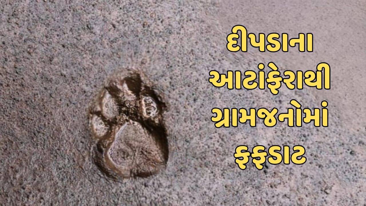 રાજકોટ વીડિયો : ઉપલેટાના ગ્રામ્ય પંથકમાં ફરી દીપડાની દહેશત, સ્થાનિકોમાં ભયનો માહોલ