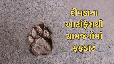 રાજકોટ વીડિયો : ઉપલેટાના ગ્રામ્ય પંથકમાં ફરી દીપડાની દહેશત, સ્થાનિકોમાં ભયનો માહોલ