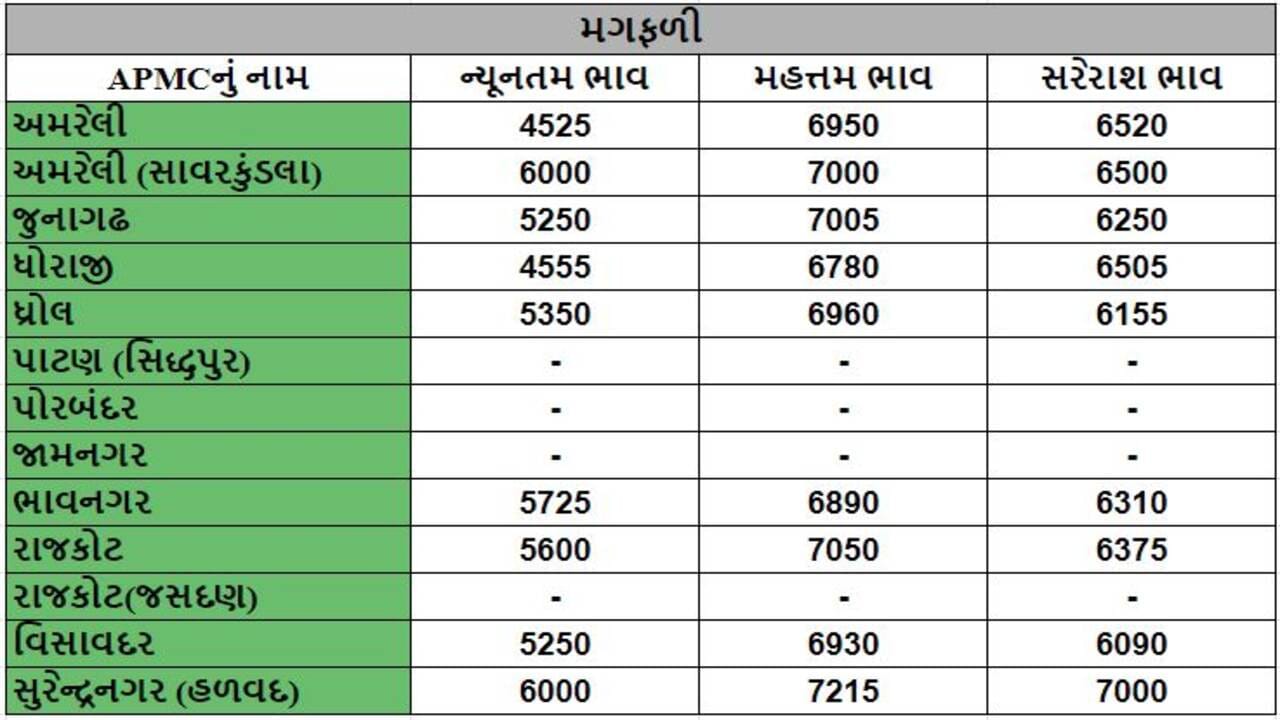 મગફળીના તા.11-01-2024ના રોજ APMCના ભાવ રૂ.4525 થી 7215 રહ્યા.