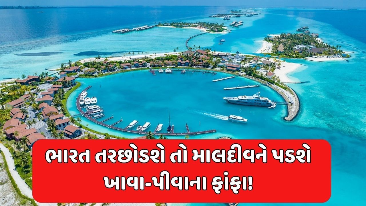 લોટ, ચોખાથી લઈને ઈંડા સુધી...જાણો કઈ વસ્તુઓ માટે ભારત પર નિર્ભર છે માલદીવ, જો નહીં આપે તો માંગવા લાગશે ભીખ!