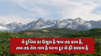 યે દુનિયા કા ઉસૂલ હૈ જબ તક કામ હૈ, તબ તક તેરા નામ હૈ વરના દૂર સે હી સલામ હૈ