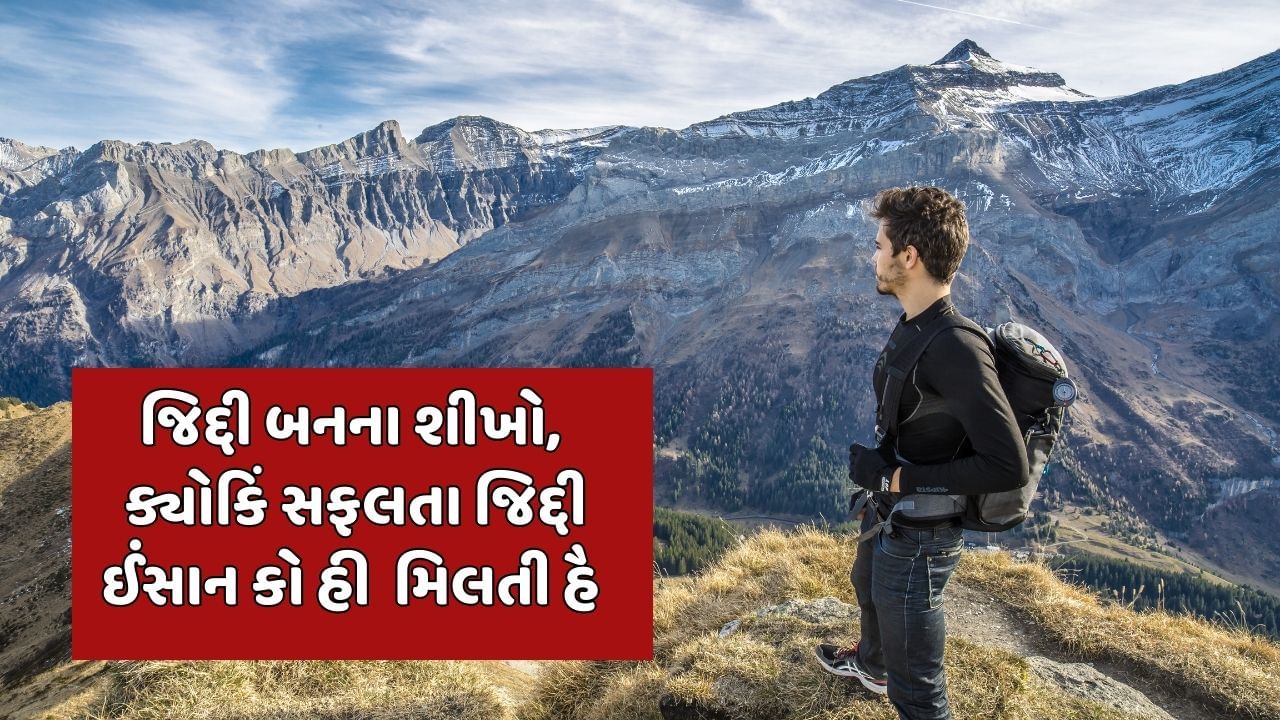 જિદ્દી બનના શીખો,ક્યોકિં સફલતા જિદ્દી ઈંસાન કો હી  મિલતી હૈ