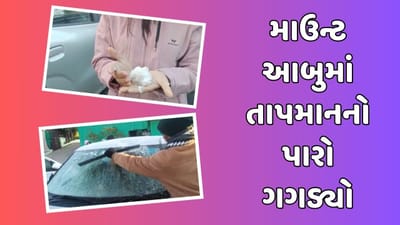 હિલ સ્ટેશન માઉન્ટ આબુમાં છવાઈ બરફની ચાદર, લઘુત્તમ તાપમાન માઈનસ 1 ડિગ્રી નોંધાયું, જુઓ વીડિયો