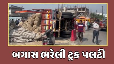નવસારી વીડિયો : ગણદેવી ચાર રસ્તા પર બગાસ ભરેલી ટ્રક પલટી, CCTVમાં કેદ થયા દ્રશ્યો નવસારી વીડિયો : ગણદેવી ચાર રસ્તા પર બગાસ ભરેલી ટ્રક પલટી, CCTVમાં કેદ થયા દ્રશ્યો