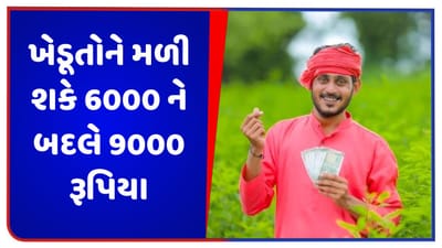 બજેટમાં ખેડૂતોને મળી શકે છે મોટી ભેટ, PM કિસાન યોજનાની રકમમાં થઈ શકે 50 ટકાનો વધારો, 6000 રૂપિયાને બદલે મળશે 9000 રૂપિયા