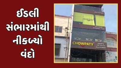 પંચમહાલ વીડિયો: ગોધરાની નામાંકિત હોટલમાં ઈડલી સંભારમાંથી નીકળ્યો વંદો, ગ્રાહકે ફરિયાદ કરતા દાદાગીરી કર્યાનો આક્ષેપ પંચમહાલ વીડિયો: ગોધરાની નામાંકિત હોટલમાં ઈડલી સંભારમાંથી નીકળ્યો વંદો, ગ્રાહકે ફરિયાદ કરતા દાદાગીરી કર્યાનો આક્ષેપ
