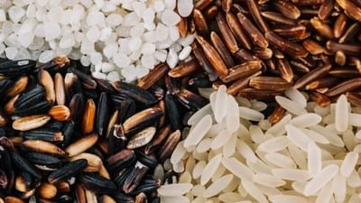 તમે ઘણા લોકોને કહેતા સાંભળ્યા હશે કે જે લોકો વજન ઓછું કરવા માગે છે અથવા ડાયાબિટીસથી પીડિત છે તેમણે પોલિશ્ડ ચોખા ન ખાવા જોઈએ. તમે ઘણા નિષ્ણાતોને કહેતા સાંભળ્યા હશે કે પોલિશ્ડ ચોખાને બદલે તમારે બ્રાઉન, કાળા કે લાલ ચોખા ખાવા જોઈએ. હકીકતમાં, ફેક્ટરીમાં પ્રોસેસિંગ દરમિયાન, પોલિશ્ડ ચોખાના તમામ વિટામિન્સ અને ખનિજો નષ્ટ થઈ જાય છે અને તેમાં ફક્ત કાર્બોહાઇડ્રેટ્સ અને સ્ટાર્ચ જ બચે છે, જે તેને બિનઆરોગ્યપ્રદ બનાવવા માટે પૂરતું છે. જ્યારે બ્રાઉન, કાળા કે લાલ ચોખામાં તમામ પોષણ ચોખામાં જ રહે છે. તેઓ તમારા સુધી પહોંચતા પહેલા કોઈપણ રાસાયણિક પ્રક્રિયામાંથી પસાર થતા નથી.