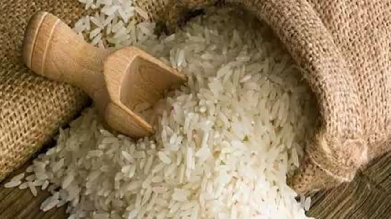 Polished or Unpolished Rice (3)