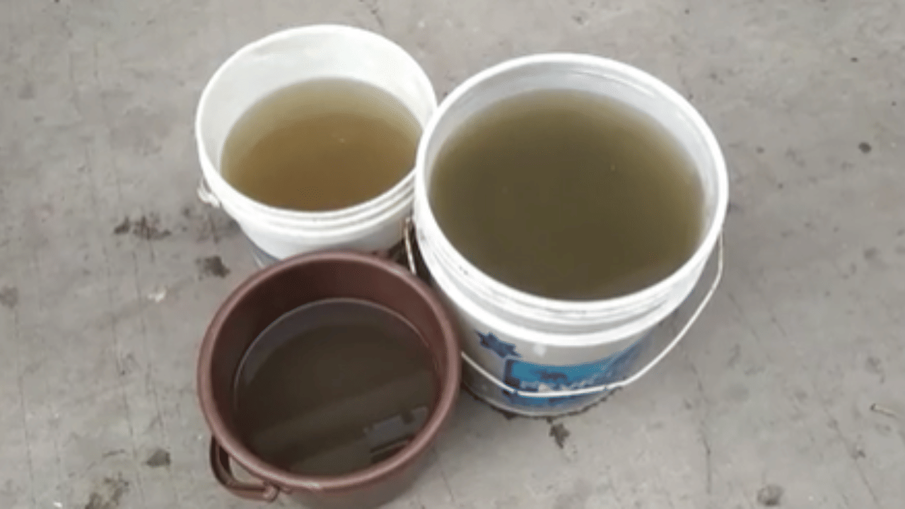 રાજકોટ : ધોરાજીના વોર્ડ 6 માં પીળું અને દુર્ગંધયુક્ત પાણી મળતા મહિલાઓમાં જોવા મળ્યો રોષ, જુઓ વીડિયો