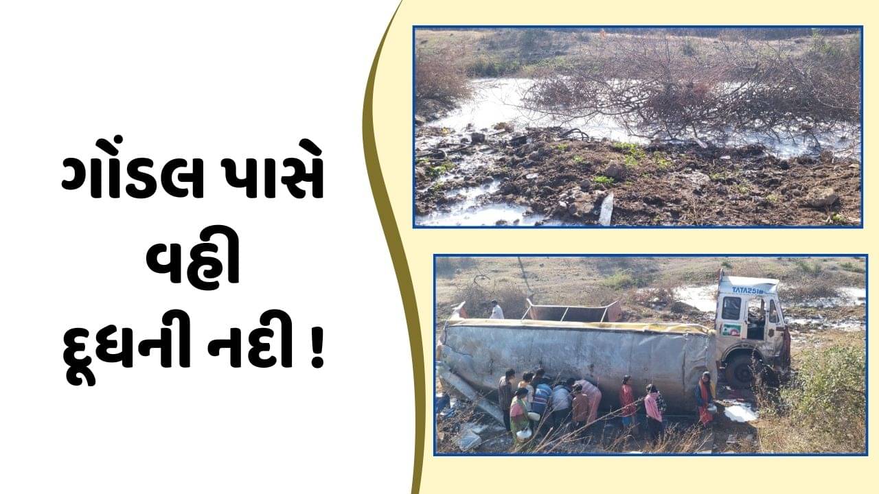 રાજકોટ વીડિયો : ગોંડલના ચોરડી ગામ પાસે દૂધ ભરેલું ટેન્કર પલટ્યું, લોકોએ વાસણમાં દૂધ ભરવા કરી દોડા -દોડી