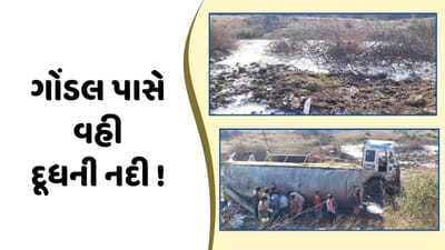 રાજકોટ વીડિયો : ગોંડલના ચોરડી ગામ પાસે દૂધ ભરેલું ટેન્કર પલટ્યું, લોકોએ વાસણમાં દૂધ ભરવા કરી દોડા -દોડી રાજકોટ વીડિયો : ગોંડલના ચોરડી ગામ પાસે દૂધ ભરેલું ટેન્કર પલટ્યું, લોકોએ વાસણમાં દૂધ ભરવા કરી દોડા -દોડી