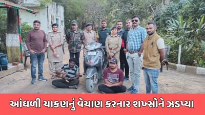 રાજકોટ વીડિયો : અધિકારીઓએ તાંત્રિકનો વેશ ધારણ કરી આંધળી ચાકણનું વેચાણ કરનાર શખ્સોને ઝડપ્યા