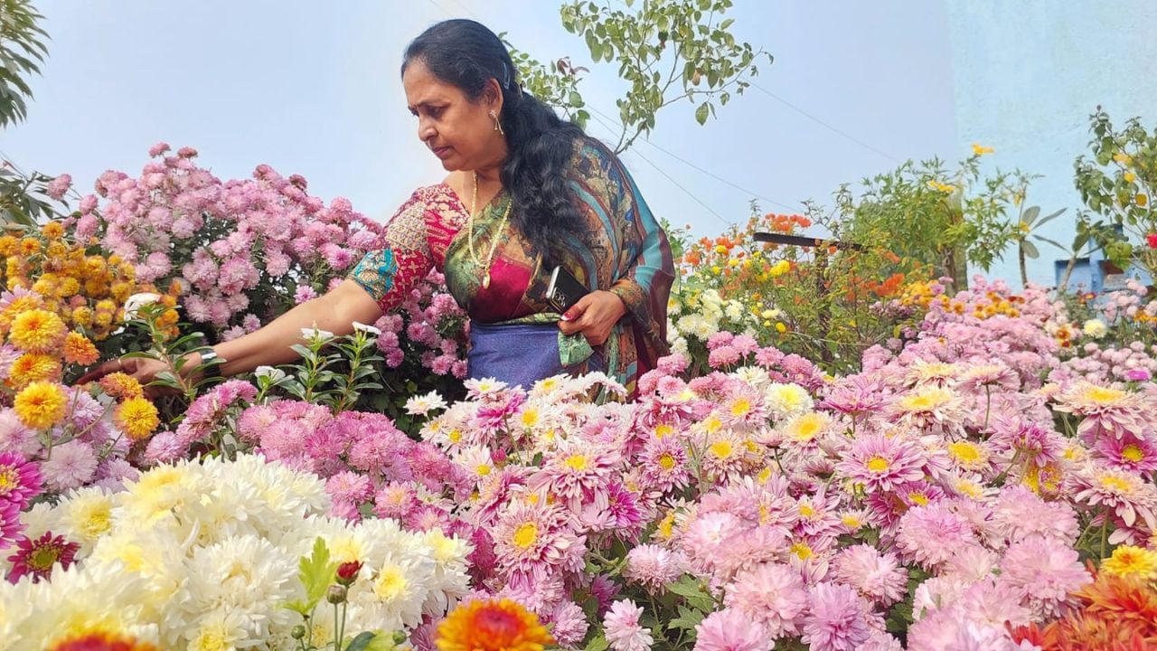 હાલ ગુજરાતના અમદાવાદમાં ફ્લાવર શૉ ચાલી રહ્યો છે અને SOU ખાતે પણ કરોડો રૂપિયા ખર્ચ કરી વિદેશી ફ્લાવર મગાવી  ફ્લાવર ઓફ વેલીનું નિર્માણ કરવામાં આવ્યું છે, ત્યારે રાજપીપળાના મહાવિદ્યાલ રોડ પર રહેતા ભાવનાબેન પટેલે તો પોતાના ઘર પર જ ફ્લાવર શો બનાવી દીધો છે. 