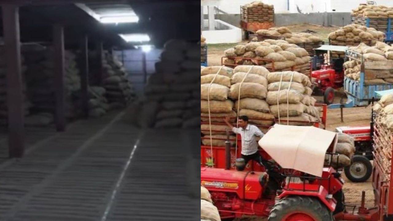 બનાસકાંઠાઃ બટાકા ઉત્પાદન કરતા ખેડૂતોએ કોલ્ડ સ્ટોરેજમાં ચૂકવવું પડશે વધારે ભાડું, જાણો