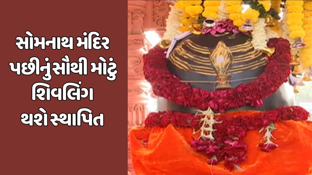 સોમનાથ મંદિર પછીનું સૌથી મોટું શિવલિંગ તરભના વાળીનાથ મંદિરમાં સ્થાપિત કરાશે, જુઓ વીડિયો