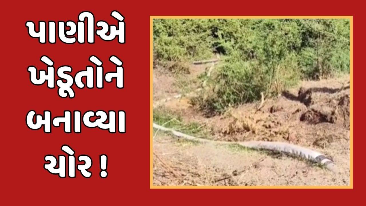 સુરેન્દ્રનગર : મુળી અને થાનગઢ પંથકમાં સિંચાઈનું પાણી ન મળતા ખેડૂતો પાણીની ચોરી કરવા મજબૂર, જુઓ વીડિયો