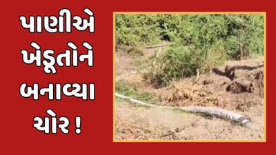 સુરેન્દ્રનગર : મુળી અને થાનગઢ પંથકમાં સિંચાઈનું પાણી ન મળતા ખેડૂતો પાણીની ચોરી કરવા મજબૂર, જુઓ વીડિયો સુરેન્દ્રનગર : મુળી અને થાનગઢ પંથકમાં સિંચાઈનું પાણી ન મળતા ખેડૂતો પાણીની ચોરી કરવા મજબૂર, જુઓ વીડિયો