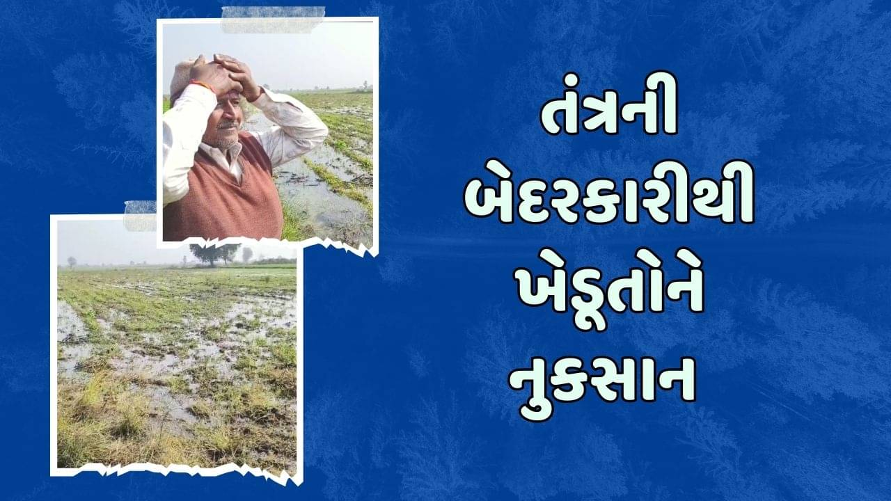 સુરેન્દ્રનગર: ચંદ્રાસર પાસે નર્મદા કેનાલ ઓવરફ્લો, ખેડૂતોના ઉભા પાકમાં ફરી વળ્યા પાણી