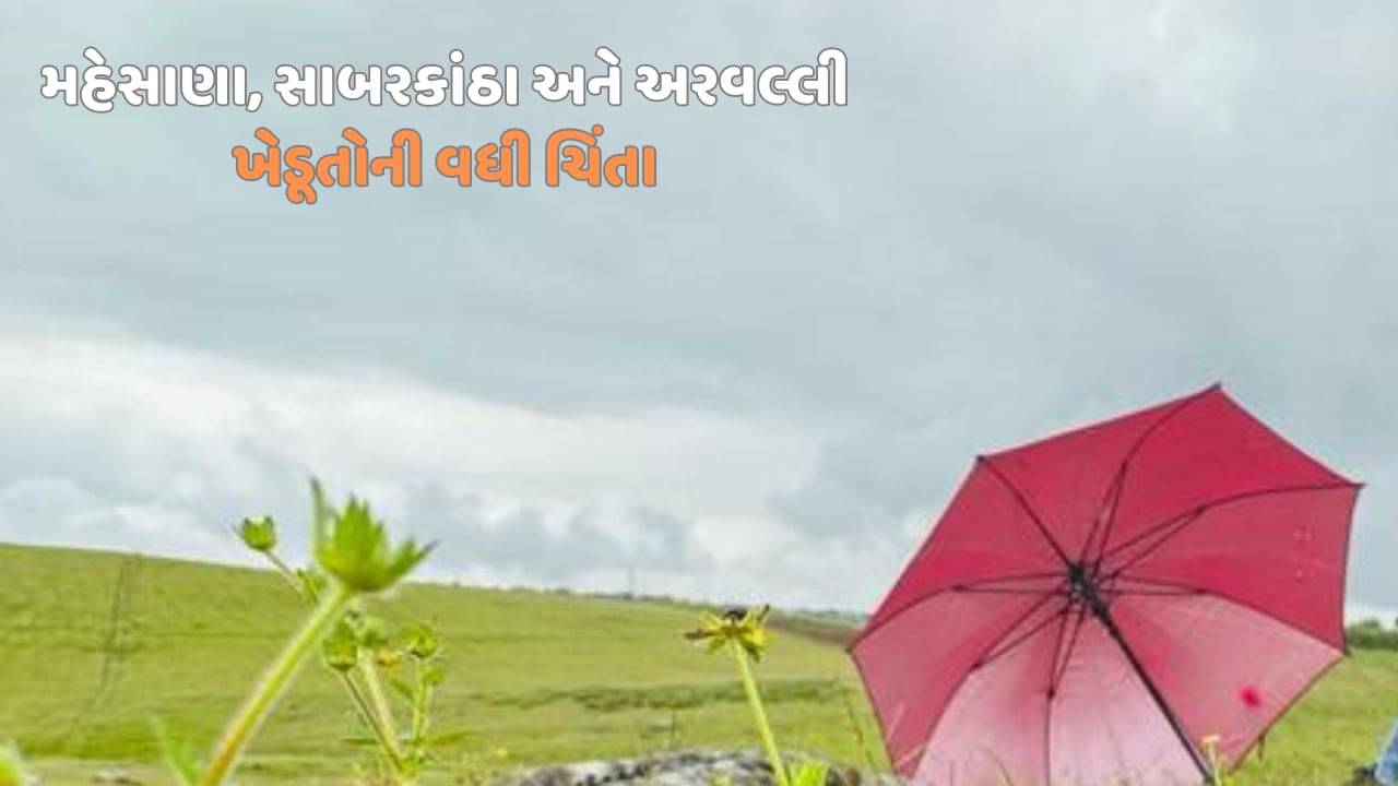 મહેસાણા, સાબરકાંઠા અને અરવલ્લીના ખેડૂતો માટે ફરી એકવાર ચિંતાના વાદળો, ફરી કમોસમી વરસાદની આગાહી