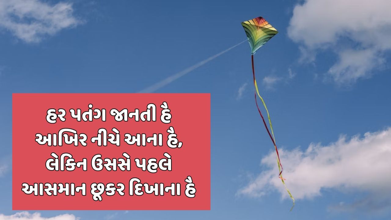 હર પતંગ જાનતી હૈ આખિર નીચે આના હૈ, લેકિન ઉસસે પહલે આસમાન છૂકર દિખાના હૈ