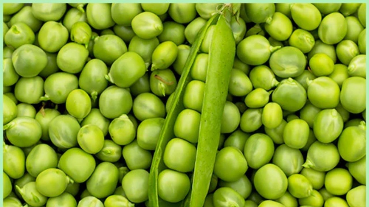 ટામેટા, વટાણાથી લઈને આ શાકભાજી રાત્રીના ભોજનમાં ના ખાવા જોઈએ, જાણો કેમ