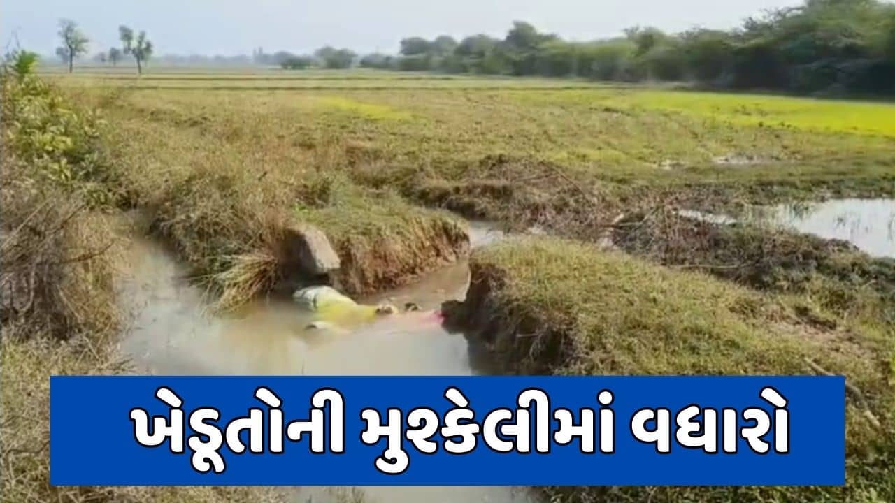વડોદરા : ખેડૂતોને પડતા પર પાટુ, કેનાલનું પાણી ખેતરોમાં ફરી વળતાં પાકને નુકસાન, જુઓ વીડિયો