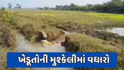 વડોદરા : ખેડૂતોને પડતા પર પાટુ, કેનાલનું પાણી ખેતરોમાં ફરી વળતાં પાકને નુકસાન, જુઓ વીડિયો
