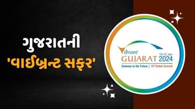 વાયબ્રન્ટ ગુજરાત 2024 : કેવી રહી 20 વર્ષની વાયબ્રન્ટ ગુજરાતની સફર, જાણો