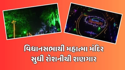 ગાંધીનગરમાં વાયબ્રન્ટ સેલ્ફી પોઈન્ટ! વિધાનસભાથી મહાત્મા મંદિર સુધી રોશનીથી શણગાર કરાયો, જુઓ વીડિયો
