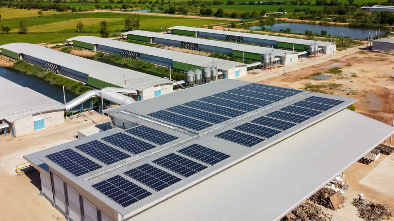 Waaree Renewable Technologies Ltd : કંપની રિન્યુએબલ એનર્જી સંબંધિત કામ કરે છે. કંપની તેને સંબંધિત ઉત્પાદનો બનાવે છે. કંપની પંપ, ઇન્વર્ટર, બેટરી, કેલ્ક્યુલેટર અને પેનલ જેવા સૌર ઉર્જા ઉત્પાદનોનું ઉત્પાદન કરે છે. કંપનીએ એક સપ્તાહમાં 40 ટકા, એક મહિનામાં 70 ટકા, એક વર્ષમાં 400 ટકા અને ત્રણ વર્ષમાં 18000 ટકા વળતર આપ્યું છે.