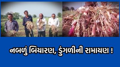 અમરેલીના ખેડૂતોને માઠી દશા, ડુંગળી ઉગાડી પણ બિયારણ જ નકામું નીકળતા પૈસાનું થયુ પાણી- વીડિયો અમરેલીના ખેડૂતોને માઠી દશા, ડુંગળી ઉગાડી પણ બિયારણ જ નકામું નીકળતા પૈસાનું થયુ પાણી- વીડિયો