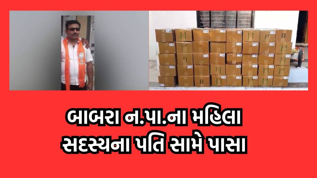 અમરેલી: નશાકારક સિરપ મુદ્દે બાબરા ન.પા.ના મહિલા નગરસેવકના પતિ સામે પાસા હેઠળ કાર્યવાહી, ધકેલાયો જેલ- વીડિયો