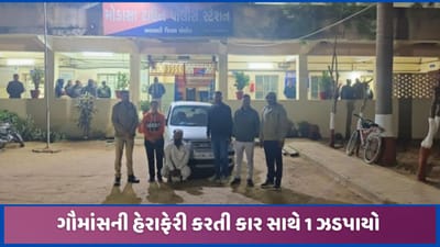 મોડાસા નજીકથી ગૌમાંસની હેરાફેરી ઝડપાઈ, FSL રીપોર્ટ આવતા 2 શખ્શો સામે કાર્યવાહી