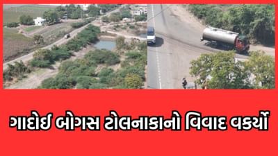 જુનાગઢ: ગાદોઈ બોગસ ટોલનાકાનો વિવાદ વધુ વકર્યો, વાહનો બંધ કરવા માગ્યા 6 લાખ- જુઓ વીડિયો જુનાગઢ: ગાદોઈ બોગસ ટોલનાકાનો વિવાદ વધુ વકર્યો, વાહનો બંધ કરવા માગ્યા 6 લાખ- જુઓ વીડિયો