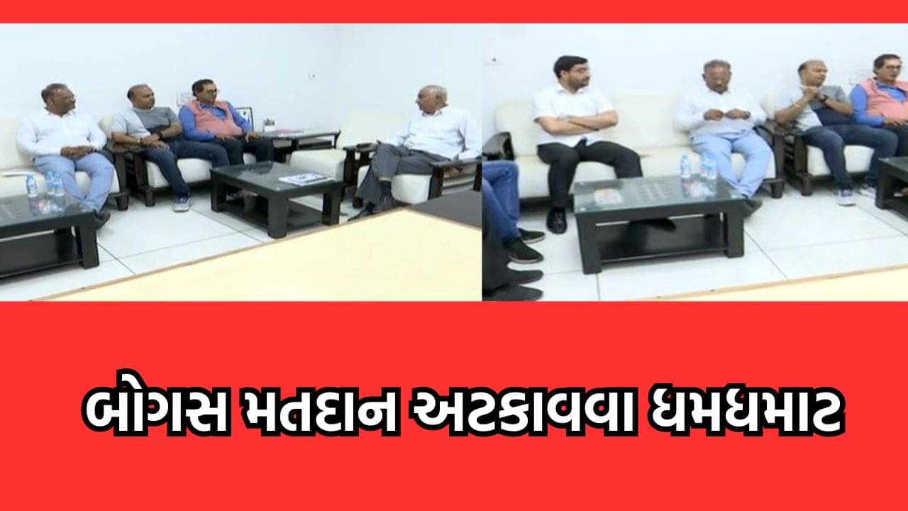 વડોદરામાં બોગસ મતદાન અટકાવવા રાજકીય અગ્રણીઓ મેદાને, મતદારોના નામ એક કરતા વધુ યાદીમાં હોવાનો ખૂલાસો થતા કલેક્ટરેને કરી રજૂઆત- વીડિયો