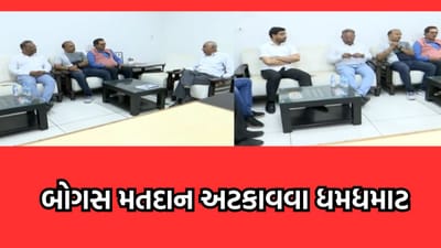 વડોદરામાં બોગસ મતદાન અટકાવવા રાજકીય અગ્રણીઓ મેદાને, મતદારોના નામ એક કરતા વધુ યાદીમાં હોવાનો ખૂલાસો થતા કલેક્ટરેને કરી રજૂઆત- વીડિયો વડોદરામાં બોગસ મતદાન અટકાવવા રાજકીય અગ્રણીઓ મેદાને, મતદારોના નામ એક કરતા વધુ યાદીમાં હોવાનો ખૂલાસો થતા કલેક્ટરેને કરી રજૂઆત- વીડિયો