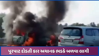 અમદાવાદ-વડોદરા એક્સપ્રેસ હાઇવે પર ચાલુ કારમાં આગ, શોર્ટ સર્કિટ થતા ભડકે બળી અમદાવાદ-વડોદરા એક્સપ્રેસ હાઇવે પર ચાલુ કારમાં આગ, શોર્ટ સર્કિટ થતા ભડકે બળી