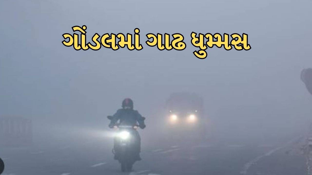 રાજકોટના ગોંડલમાં જોવા મળ્યુ ધુમ્મસનું સામ્રાજ્ય, વાહનચાલકો પરેશાન, જુઓ વીડિયો