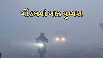 રાજકોટના ગોંડલમાં જોવા મળ્યુ ધુમ્મસનું સામ્રાજ્ય, વાહનચાલકો પરેશાન, જુઓ વીડિયો રાજકોટના ગોંડલમાં જોવા મળ્યુ ધુમ્મસનું સામ્રાજ્ય, વાહનચાલકો પરેશાન, જુઓ વીડિયો