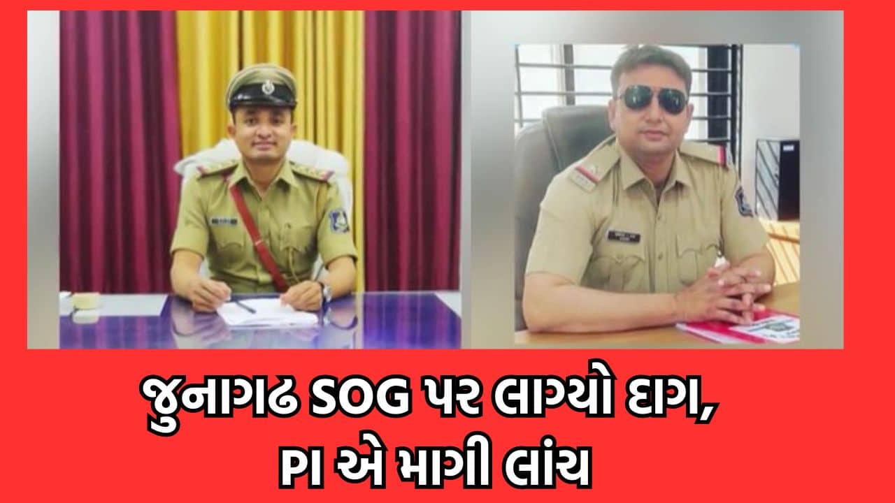 જુનાગઢ પોલીસ ફરી વિવાદમાં, SOG PIને કરાયા સસ્પેન્ડ, બેંકના સીઝ ખાતા અનસીઝ કરવા માંગી હતી લાંચ- વીડિયો