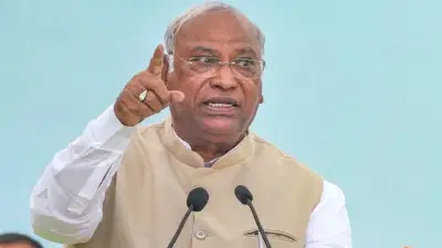 લોકસભાની તૈયારીઓ મુદ્દે ખરગેની અધ્યક્ષતામાં મળી AICCની બેઠક, કોંગ્રેસના નેતાઓને અધ્યક્ષે આપી આ સખ્ત ચેતવણી- વાંચો