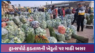 ટ્રક ડ્રાઇવરોની હડતાળની માઠી અસર ખેડૂતોને પહોંચી, હિંમતનગરમાં શાકભાજીનો ભરાવો થતા ભાવ ગગડ્યા ટ્રક ડ્રાઇવરોની હડતાળની માઠી અસર ખેડૂતોને પહોંચી, હિંમતનગરમાં શાકભાજીનો ભરાવો થતા ભાવ ગગડ્યા
