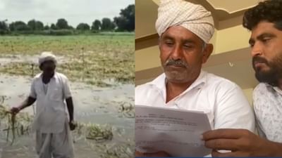 બનાસકાંઠાઃ બાજરીના પાકમાં અતિવૃષ્ટિથી નુક્સાનને લઈ ખેડૂતોને વળતર ચૂકવવા કોર્ટનો આદેશ