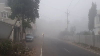 નર્મદા : ગાઢ ધુમ્મસના કારણે રાજપીપળામાં વિઝિબ્લિટીમાં ઘટાડો થયો, જુઓ વીડિયો નર્મદા : ગાઢ ધુમ્મસના કારણે રાજપીપળામાં વિઝિબ્લિટીમાં ઘટાડો થયો, જુઓ વીડિયો