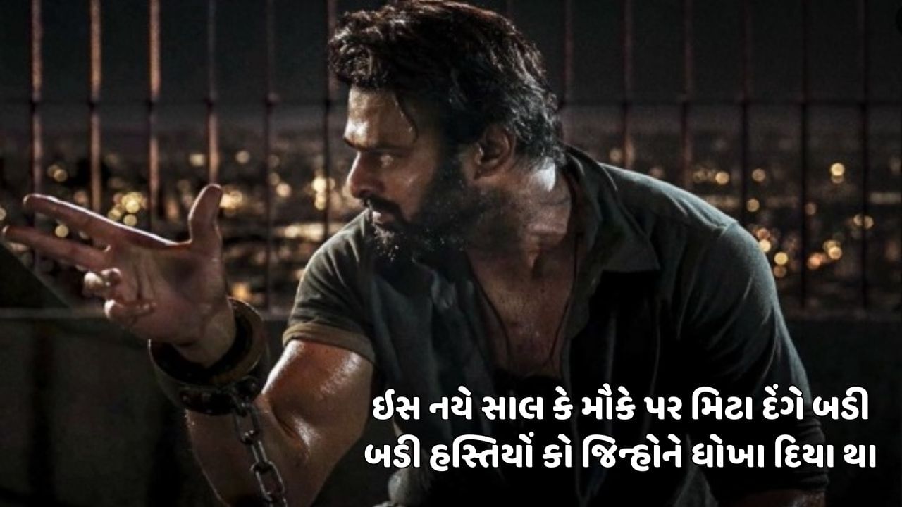 ઇસ નયે સાલ કે મૌકે પર મિટા દેંગે બડી બડી હસ્તિયોં કો જિન્હોને ધોખા દિયા થા