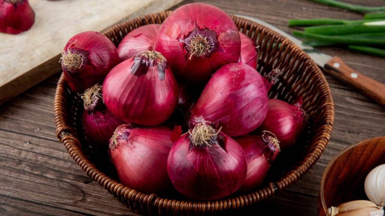 સરકારે નાણાકીય વર્ષ 2023-24 માટે બફર સ્ટોકનો લક્ષ્યાંક વધારીને 7 લાખ ટન કર્યો છે જ્યારે ગયા વર્ષનો વાસ્તવિક સ્ટોક 3 લાખ ટન હતો.